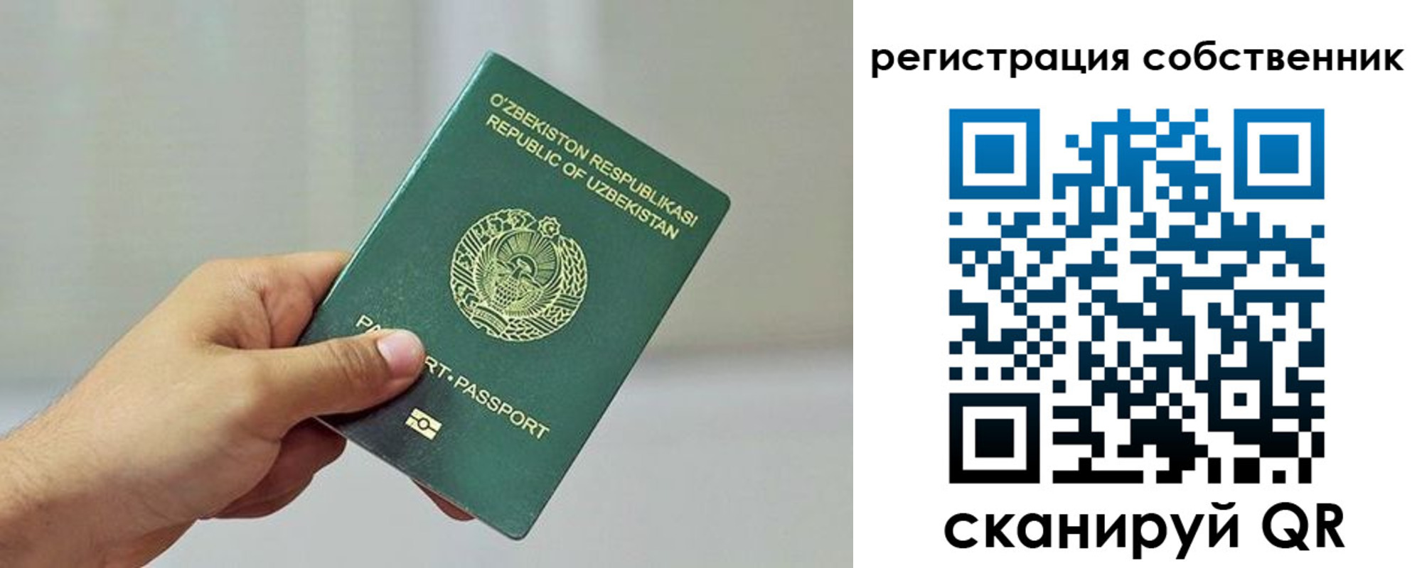 прописка поиск в Клинцах